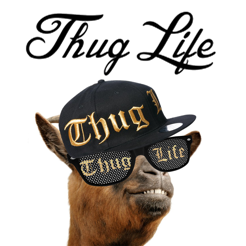 ‎Thug Life Maker !