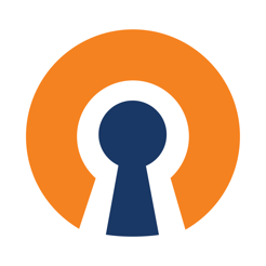 ‎OpenVPN Connect – OpenVPN App